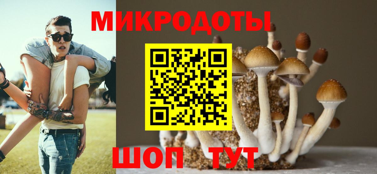 Псилоцибиновые грибы мицелий  Вход с VPN  Абакан 